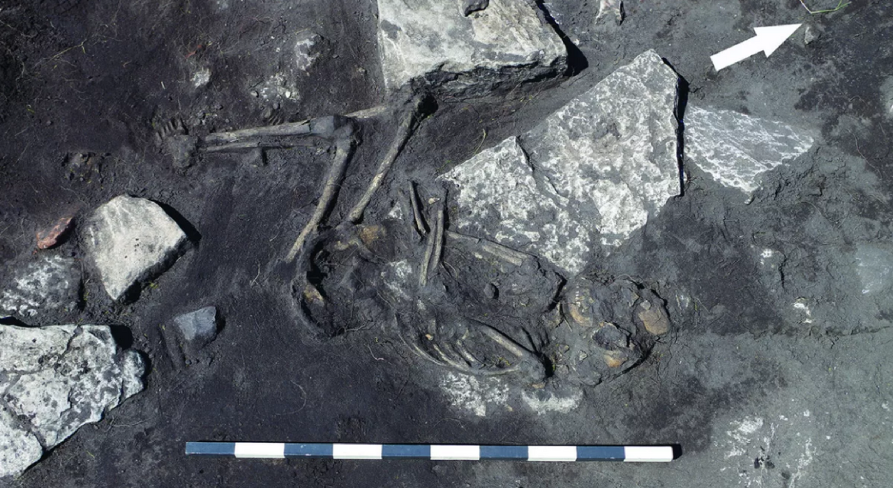 Археологи раскопали таинственную деревню, жителей которой истребили 1500 лет назад