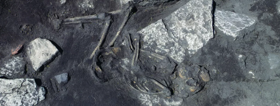 Археологи раскопали таинственную деревню, жителей которой истребили 1500 лет назад