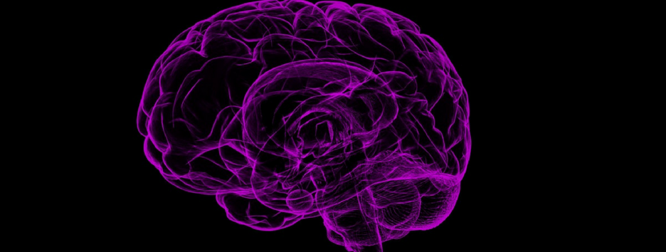 Психологи рассказали, как лучше запоминать новую информацию