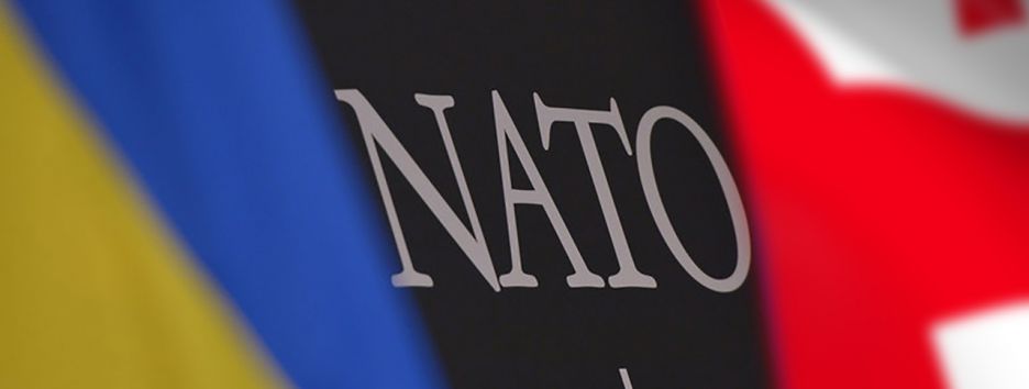 Кого выберет НАТО: Украину или Грузию?