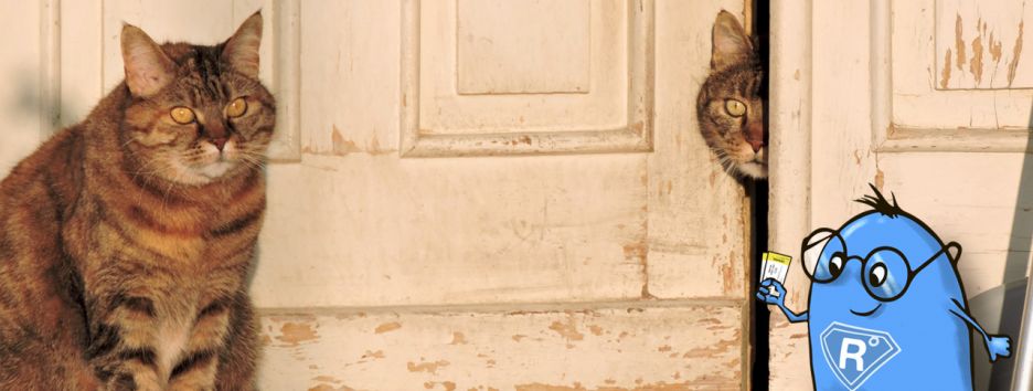 Знакомьтесь, столичный уик-энд: куда пойти 5 и 6 мая