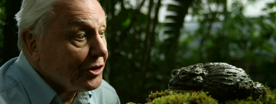 Лучшие фильмы Дэвида Аттенборо - пионера документального кино о природе
