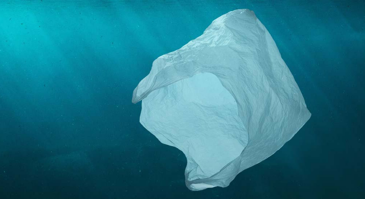 Мусор повсюду: на дне Марианской впадины нашли пластиковый пакет