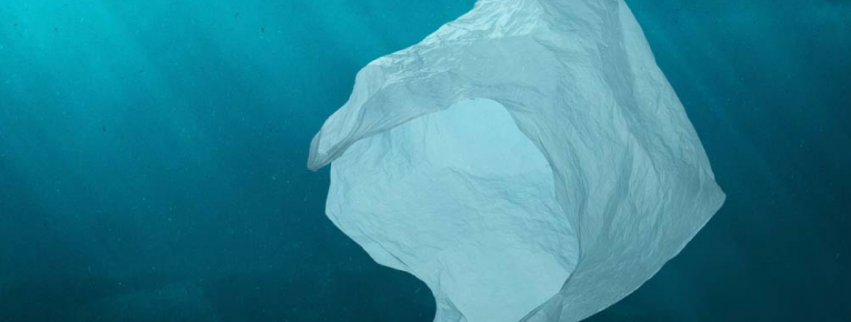 Мусор повсюду: на дне Марианской впадины нашли пластиковый пакет
