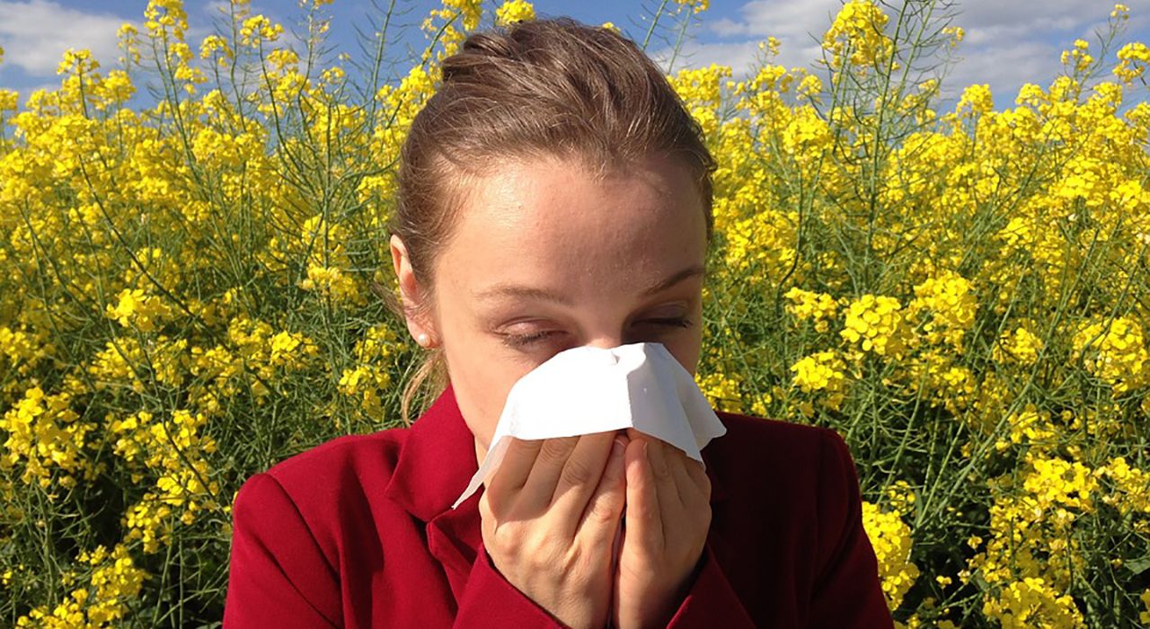 Развенчиваем мифы об аллергии: как животные, цветения и собственный ЖКТ влияют на человека