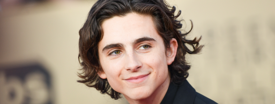 Amazon представили тизер фильма «Красивый мальчик» с Тимоти Шаламе