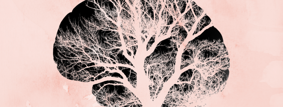 Новая надежда: ученые восстановили сосуды и клетки мозга после инсульта у мышей