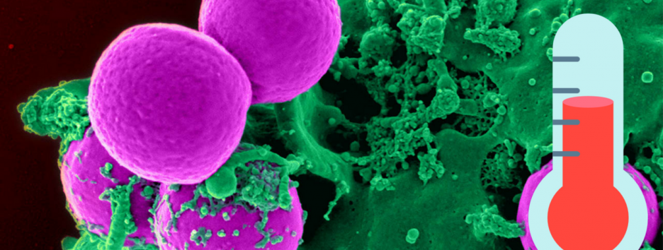Потепление климата грозит распространением устойчивых к лекарствам инфекций