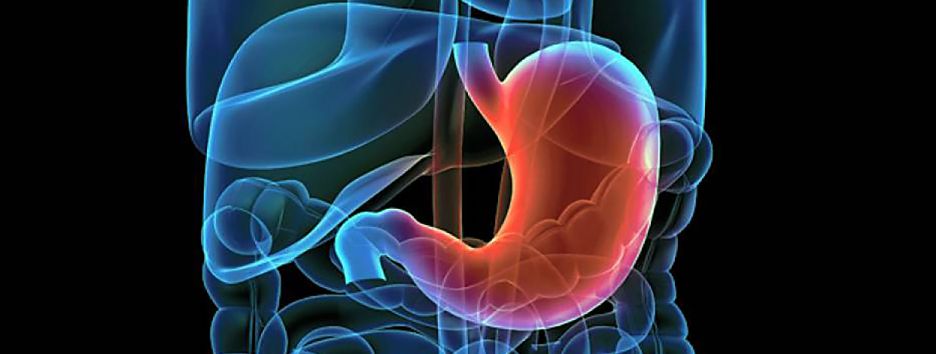 Завтракайте и сохраняйте спокойствие: золотые правила гастроэнтеролога