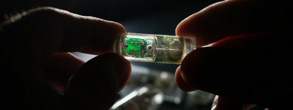 Как “съедобные” бактерии на чипе помогут следить за здоровьем желудка