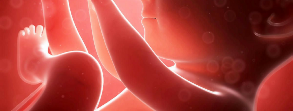 Патологии плаценты связали с повышением риска шизофрении