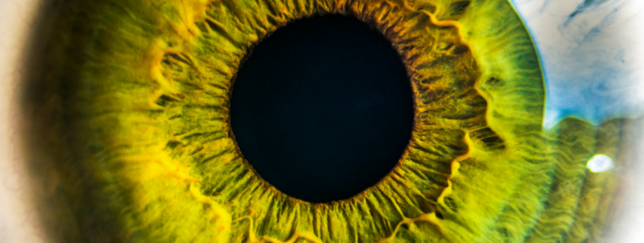 Ученые впервые напечатали на 3D-принтере искусственную человеческую роговицу