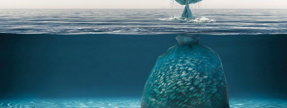 Жизнь, задушенная пластиком