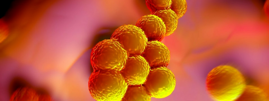 Синтетическая молекула помогла уничтожить супербактерии