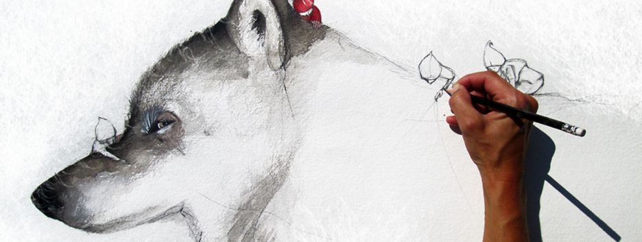 Красная Шапочка: 18 воплощений сказки Шарля Перро