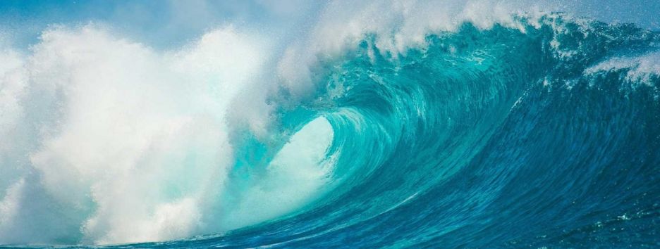 Всемирный день океанов: во время туристического сезона в океан попадает на 40% больше пластика