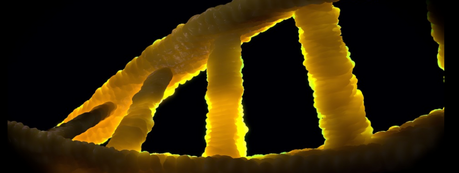 Генетическое редактирование CRISPR может увеличить риск рака