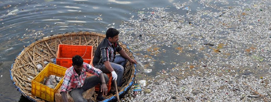 Индия приближается к экологической катастрофе из-за нехватки подземных вод