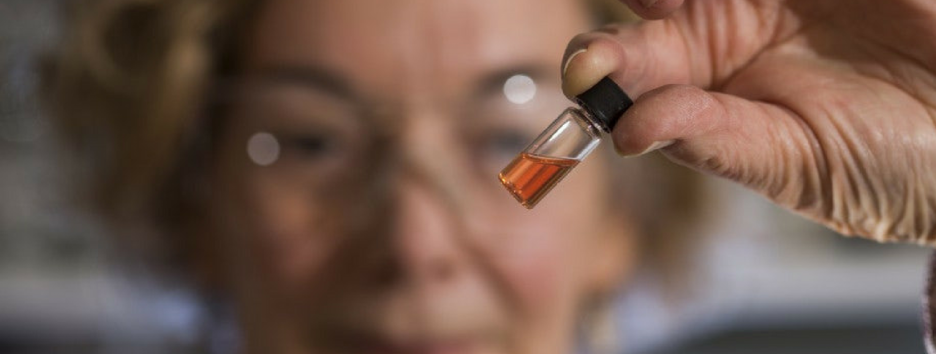 Ученые обнаружили самую древнюю “краску” на Земле. Ей более 1 млрд лет