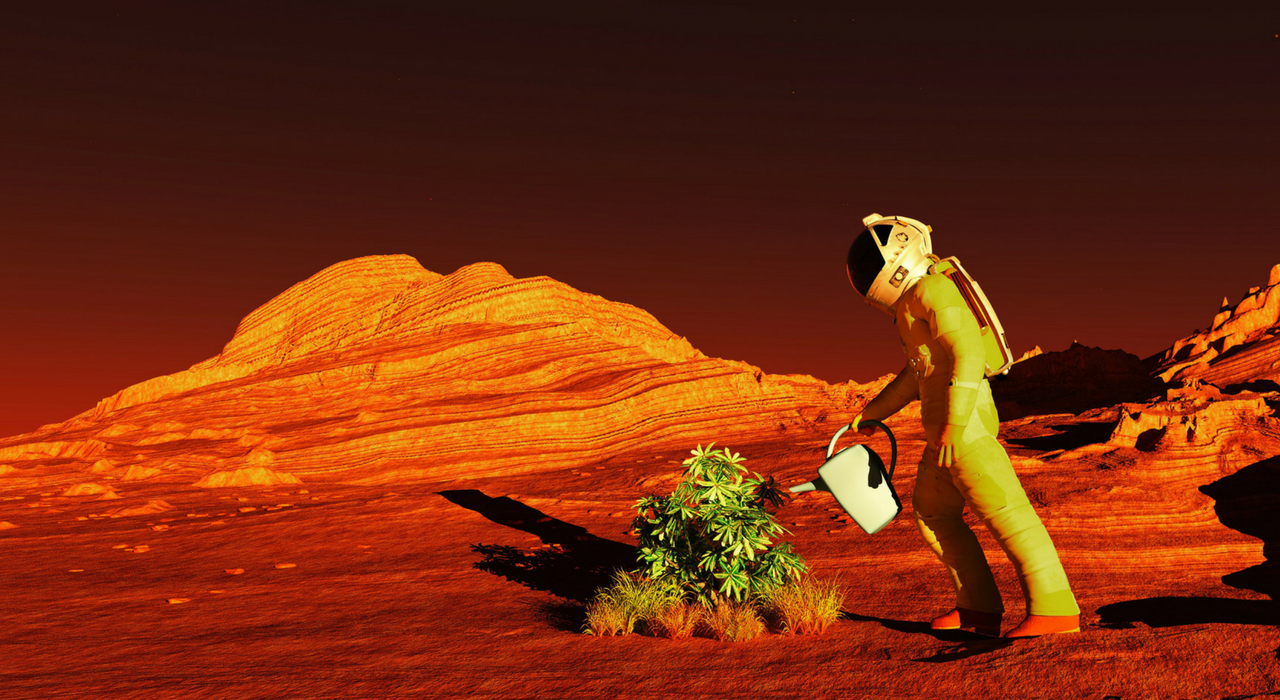 Колонизация Марса: как вырастить урожай на Красной планете