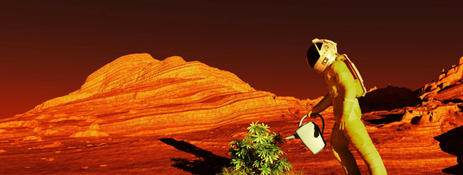 Колонизация Марса: как вырастить урожай на Красной планете