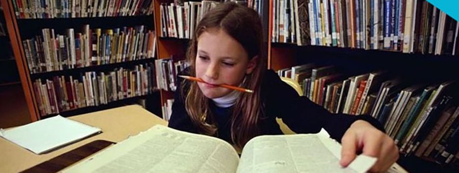 В МОН представили реформу образования. Краткий анализ