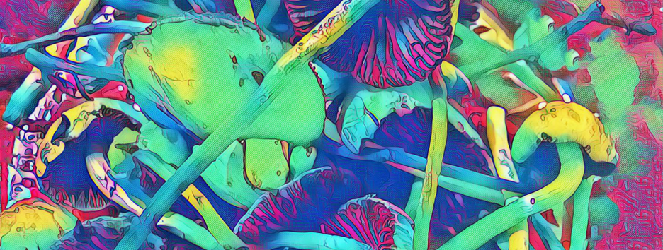 Почему ЛСД и другие психоделики так интересны современной медицине