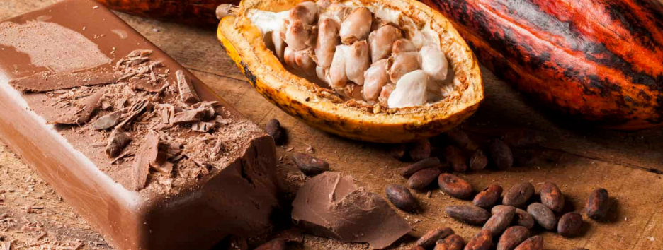 Шоколад под угрозой исчезновения: почему главное лакомство мира может стать дефицитом