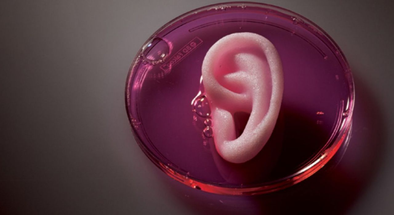 Китайские ученые смогли вырастить ухо на руке пациента