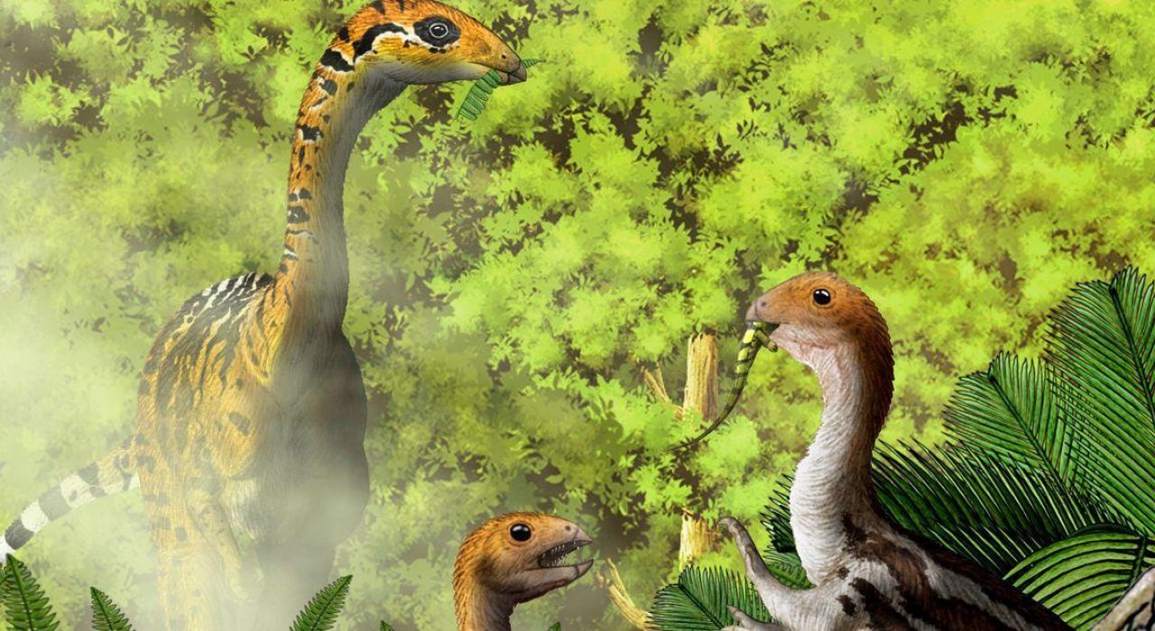 Некоторые виды динозавров с возрастом теряли зубы
