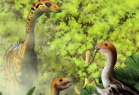 Некоторые виды динозавров с возрастом теряли зубы