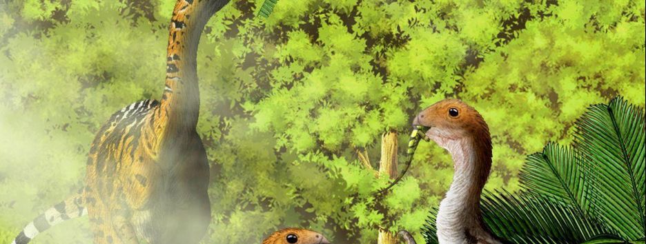 Некоторые виды динозавров с возрастом теряли зубы