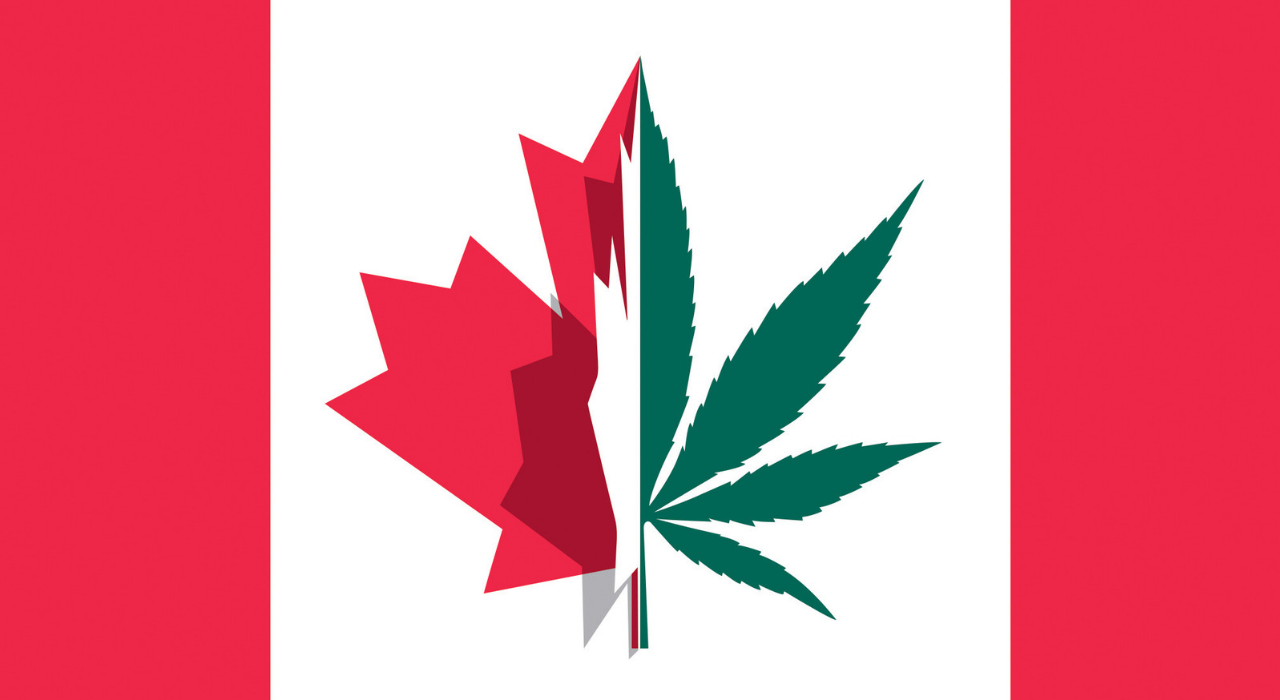 Легализация марихуаны как социальный эксперимент: что даст миру опыт Канады?