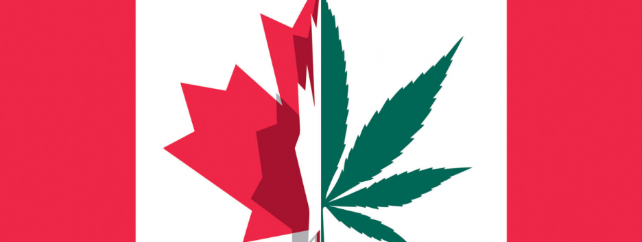 Легализация марихуаны как социальный эксперимент: что даст миру опыт Канады?
