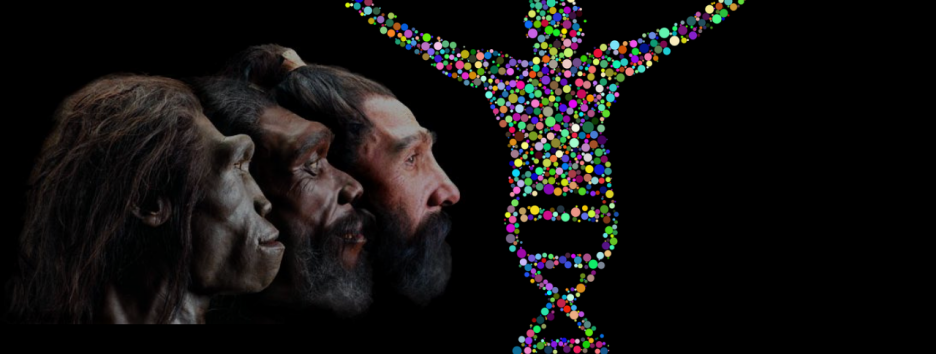 Эволюция человека происходит все время: какими будут люди будущего