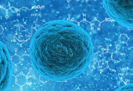 Ученые создали искусственные регенерирующие стволовые клетки