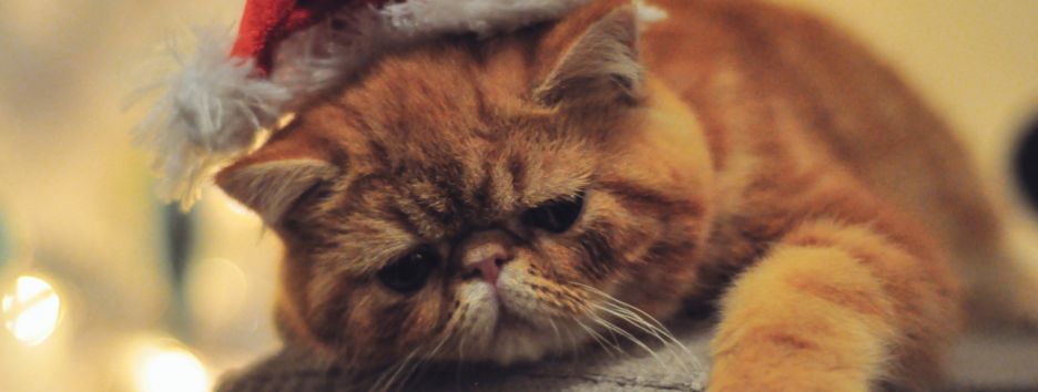 Топ-5. Как вернуть навогоднее настроение?