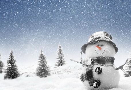 Канадские ученые создали самого маленького снеговика в мире