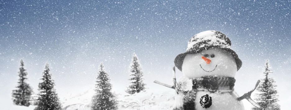 Канадские ученые создали самого маленького снеговика в мире