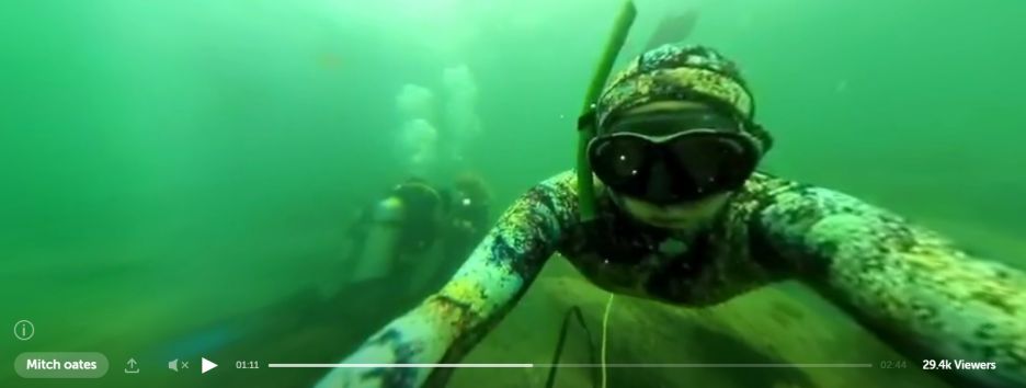 Фотограф провел первую онлайн-трансляцию в Periscope под водой