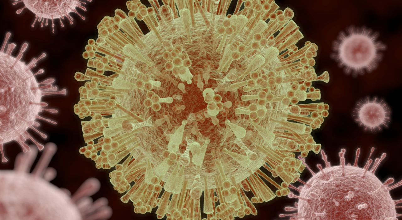 Ученые доказали, какие белки вируса Зика являются смертельными