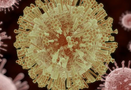 Ученые доказали, какие белки вируса Зика являются смертельными