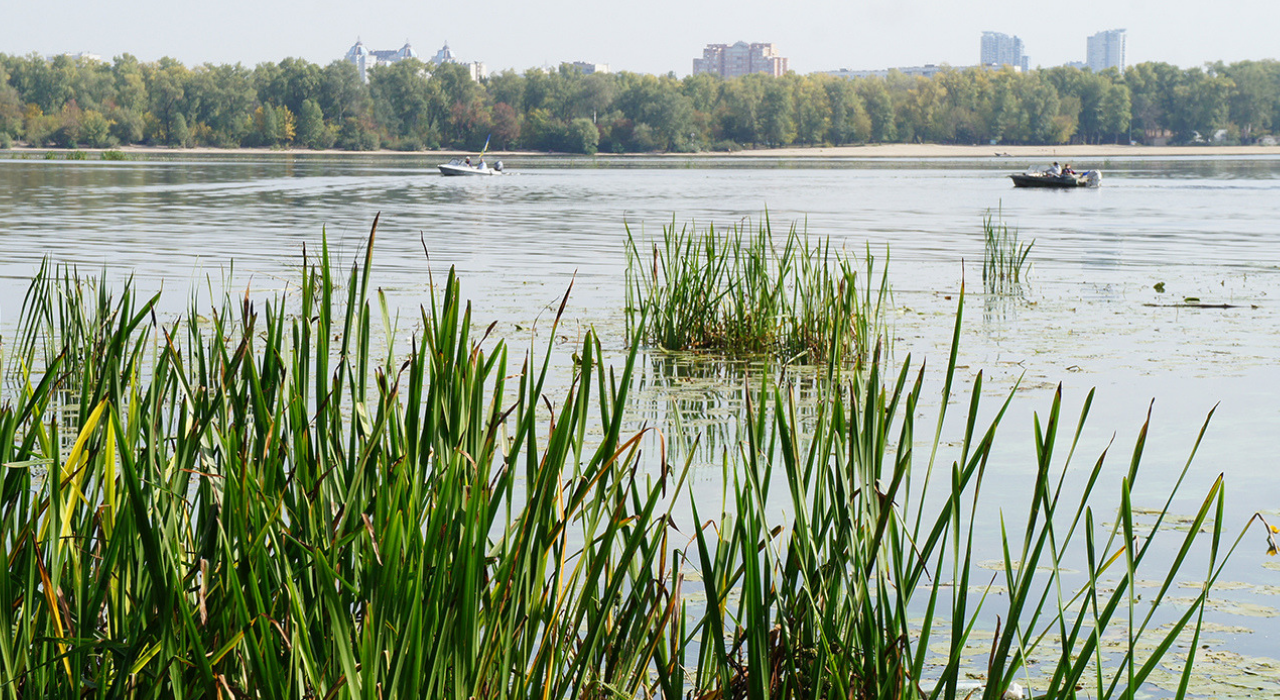 Днепр мелеет и зарастает: ученые рассказали, что губит реки в Украине