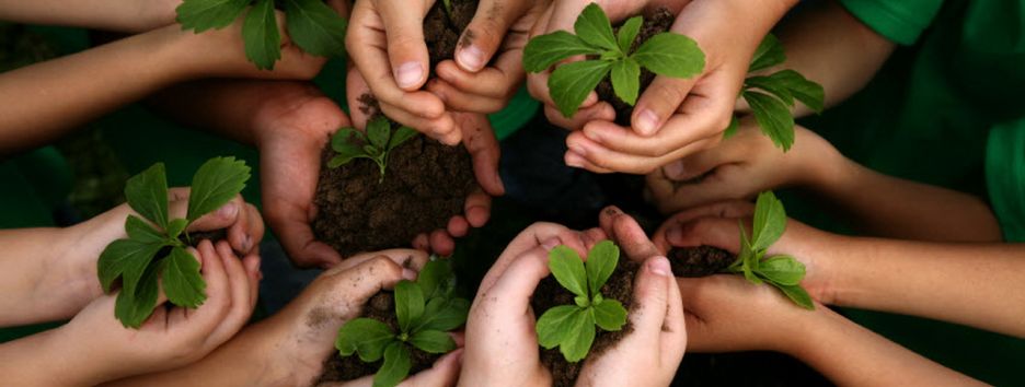 Грани стираются — что общего между растениями и людьми