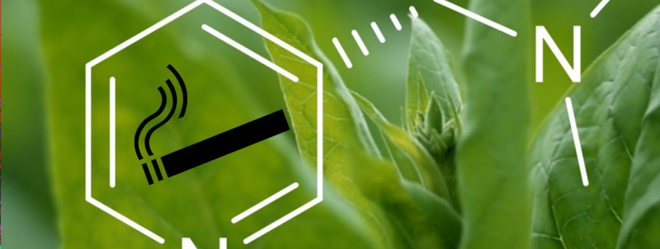 Как никотин помогает бросить курить: ученые рассказали о борьбе с зависимостью