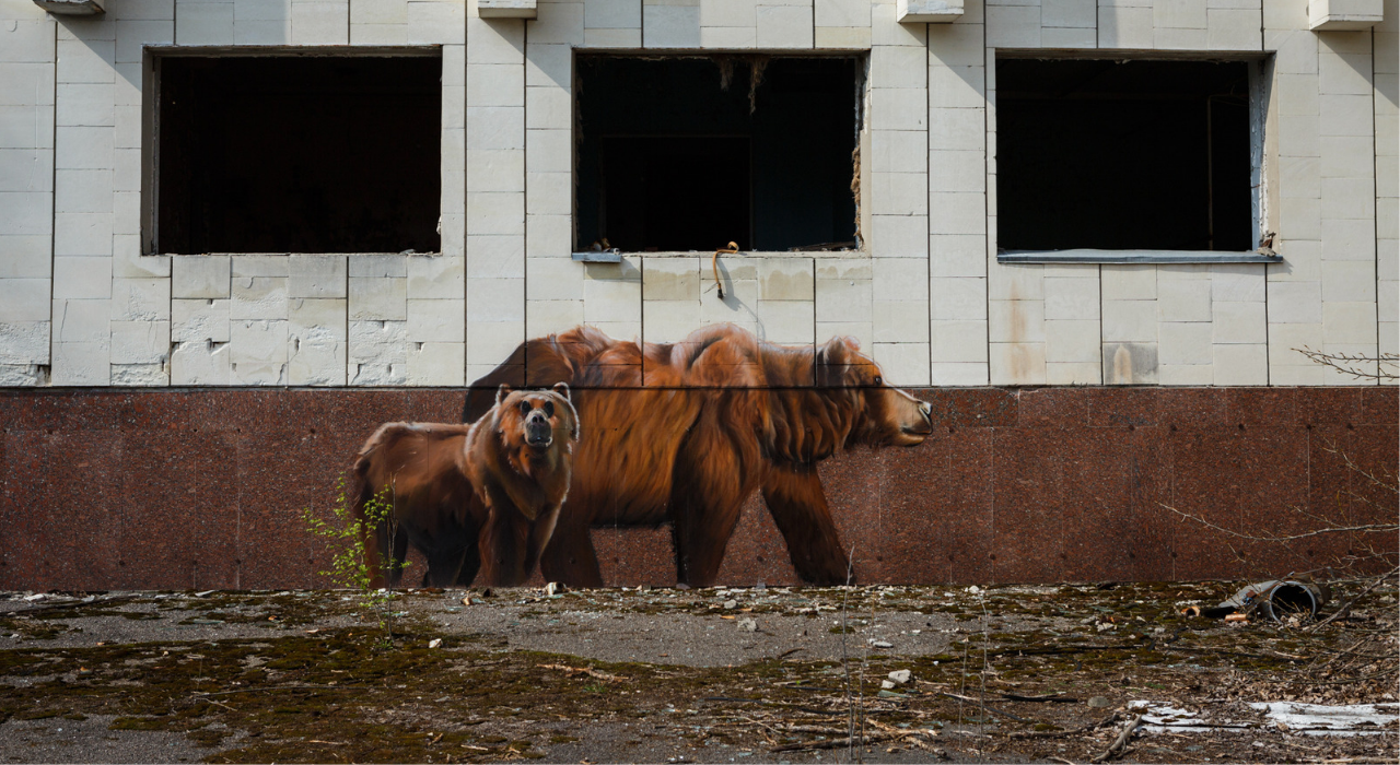 Убежище для дикой природы: биолог рассказал о животных в Чернобыле