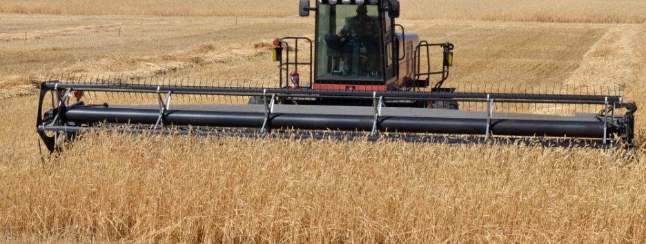 Четыре сценария развития пищевой промышленности: отчет о будущем