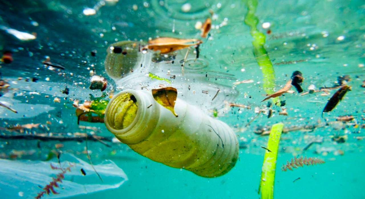 Химическое загрязнение морей и океанов: ученые рассказали о новой опасности