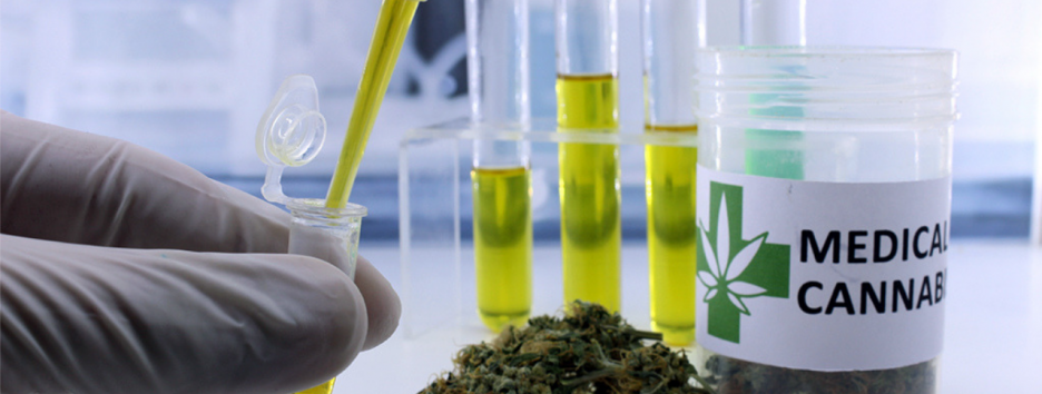 «Хватит изучать, пора помогать»: ученый о легализации медицинского каннабиса в Украине