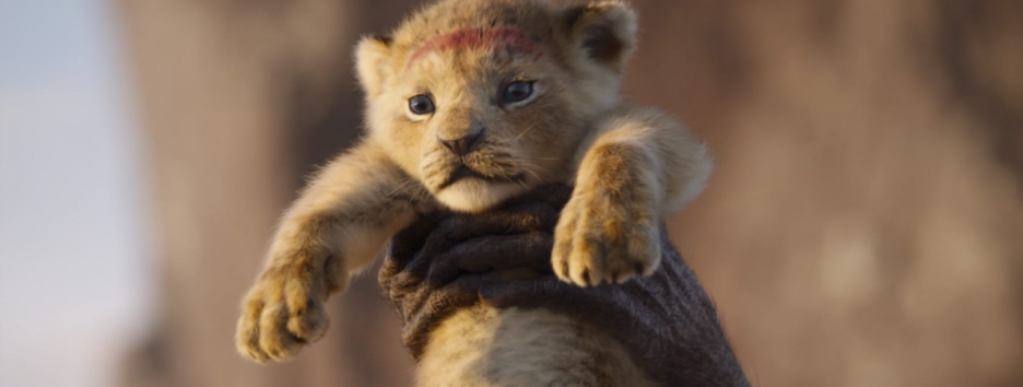 Что смотреть в кино в июле: главные премьеры месяца